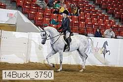 14buck_3750 proof