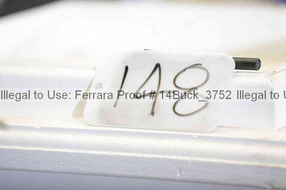 Proof 14buck_3752