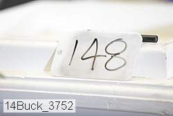 14buck_3752 proof