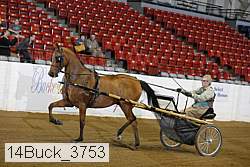 14buck_3753 proof