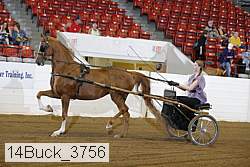 14buck_3756 proof
