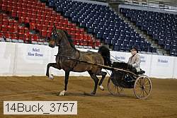 14buck_3757 proof