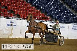 14buck_3759 proof