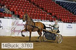 14buck_3760 proof
