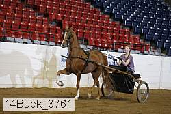 14buck_3761 proof