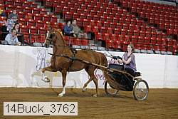 14buck_3762 proof