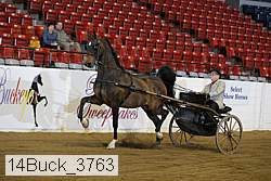 14buck_3763 proof