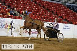 14buck_3764 proof