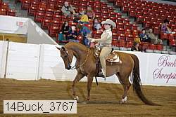 14buck_3767 proof