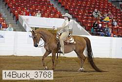 14buck_3768 proof