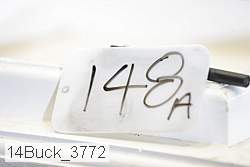 14buck_3772 proof