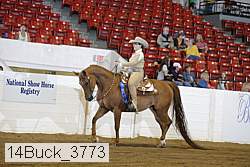 14buck_3773 proof