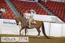 14buck_3774 proof