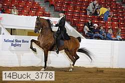 14buck_3778 proof