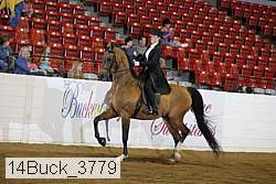 14buck_3779 proof