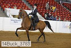 14buck_3783 proof