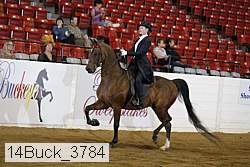 14buck_3784 proof