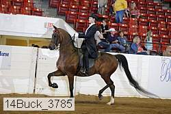 14buck_3785 proof