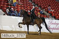 14buck_3787 proof