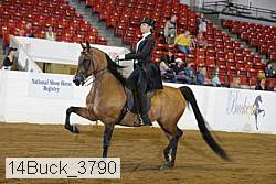14buck_3790 proof