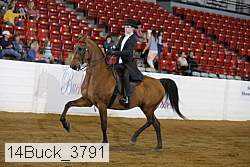14buck_3791 proof