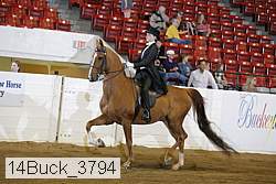 14buck_3794 proof