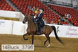 14buck_3796 proof