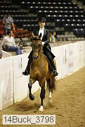 14buck_3798 proof