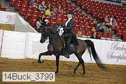 14buck_3799 proof
