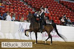 14buck_3800 proof