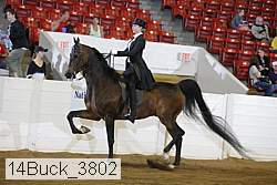 14buck_3802 proof