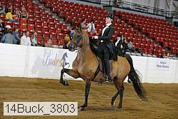 14buck_3803 proof