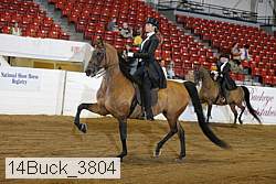 14buck_3804 proof