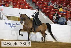 14buck_3806 proof