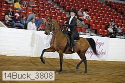 14buck_3808 proof