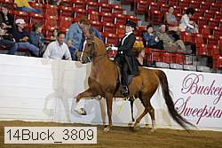 14buck_3809 proof