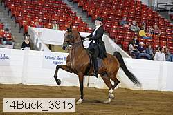 14buck_3815 proof