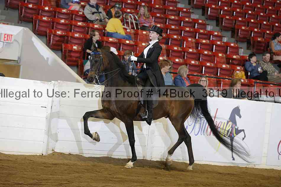 Proof 14buck_3819