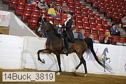 14buck_3819 proof