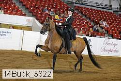 14buck_3822 proof