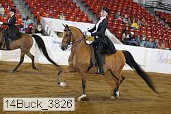 14buck_3826 proof