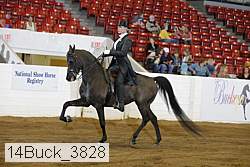 14buck_3828 proof