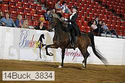 14buck_3834 proof