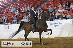 14buck_3840 proof