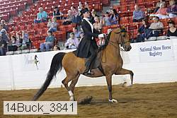 14buck_3841 proof