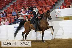 14buck_3842 proof