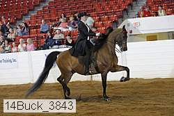 14buck_3843 proof