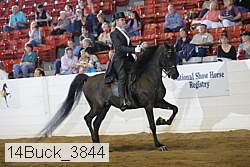 14buck_3844 proof