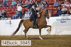 14buck_3845 proof