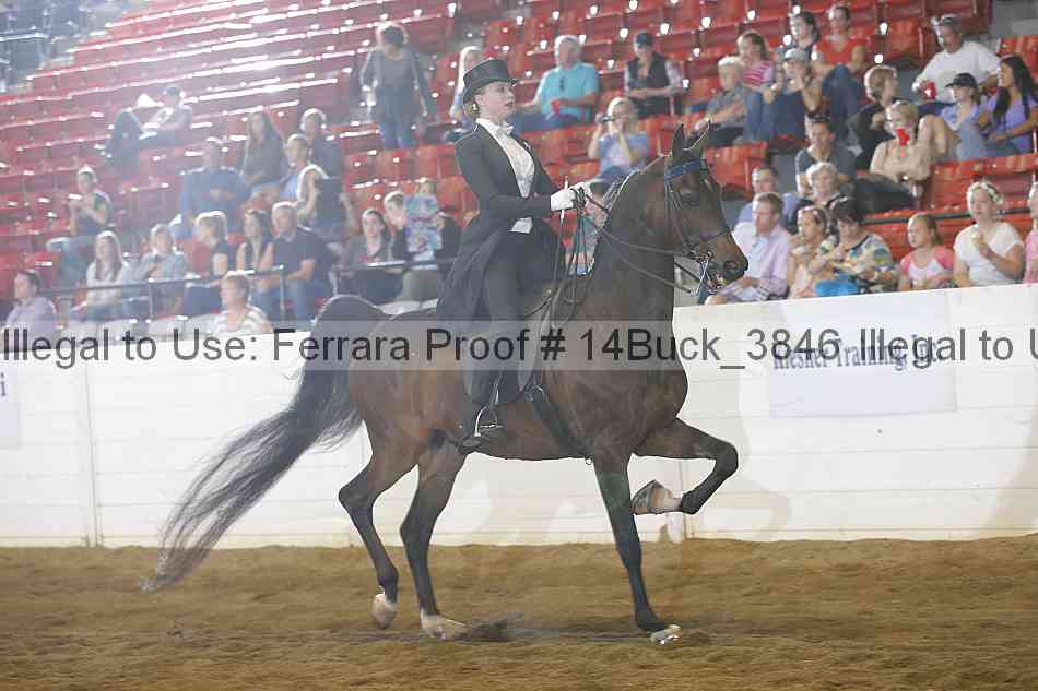Proof 14buck_3846